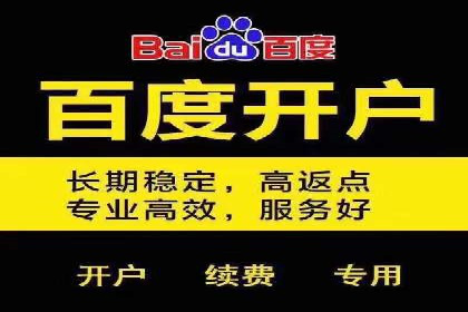 百度竞价推广运营实战技巧与经典案例剖析